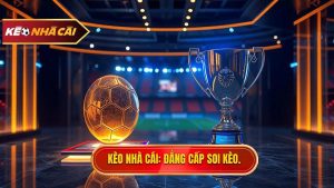 So sánh kèo bóng đá châu Á và châu Âu chi tiết nhất 2024