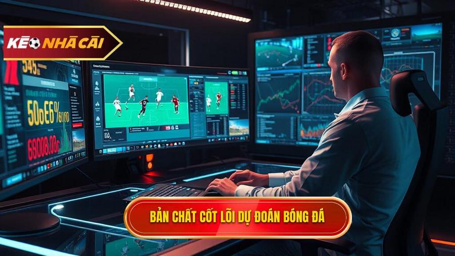 Bản chất cốt lõi dự đoán bóng đá