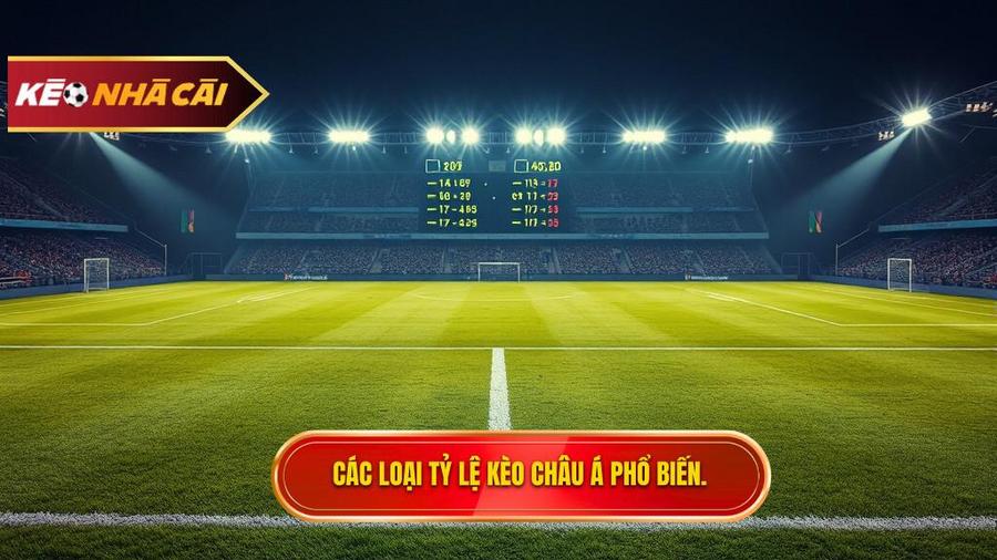 Các loại tỷ lệ phổ biến trong Kèo bóng đá Châu Á