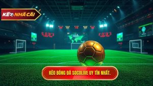 Kèo bóng đá Socolive: Cẩm nang soi kèo và cập nhật tỷ lệ trực tuyến cực chuẩn