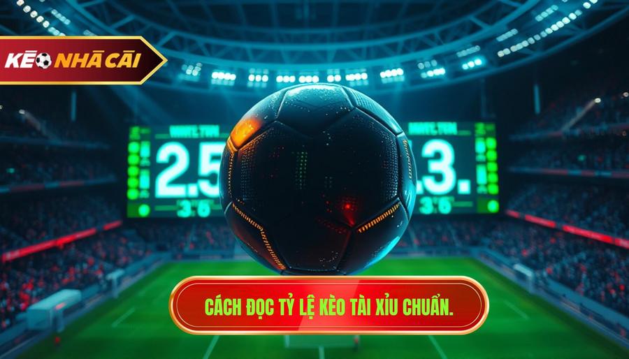 Cách đọc tỷ lệ kèo Tài Xỉu chuẩn.